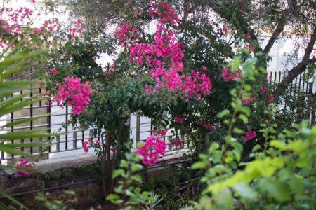 Glyfada Riviera Home Ateny Zewnętrze zdjęcie