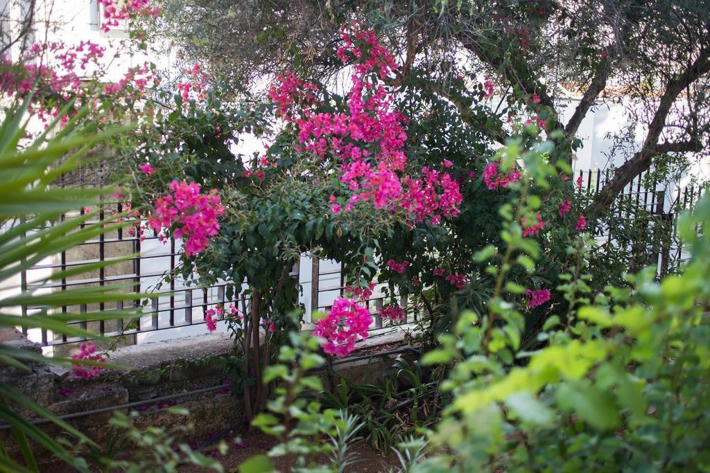 Glyfada Riviera Home Ateny Zewnętrze zdjęcie